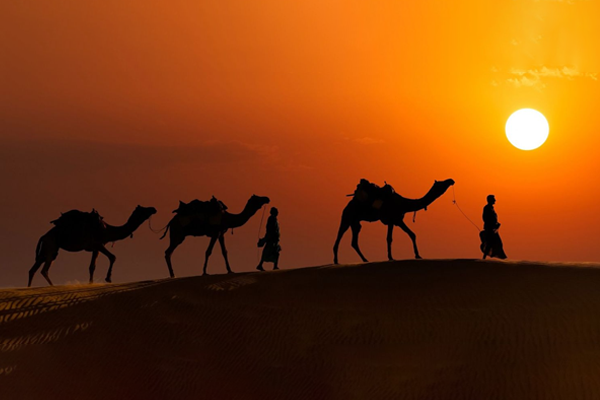 camel-safari-in-jaisalmer